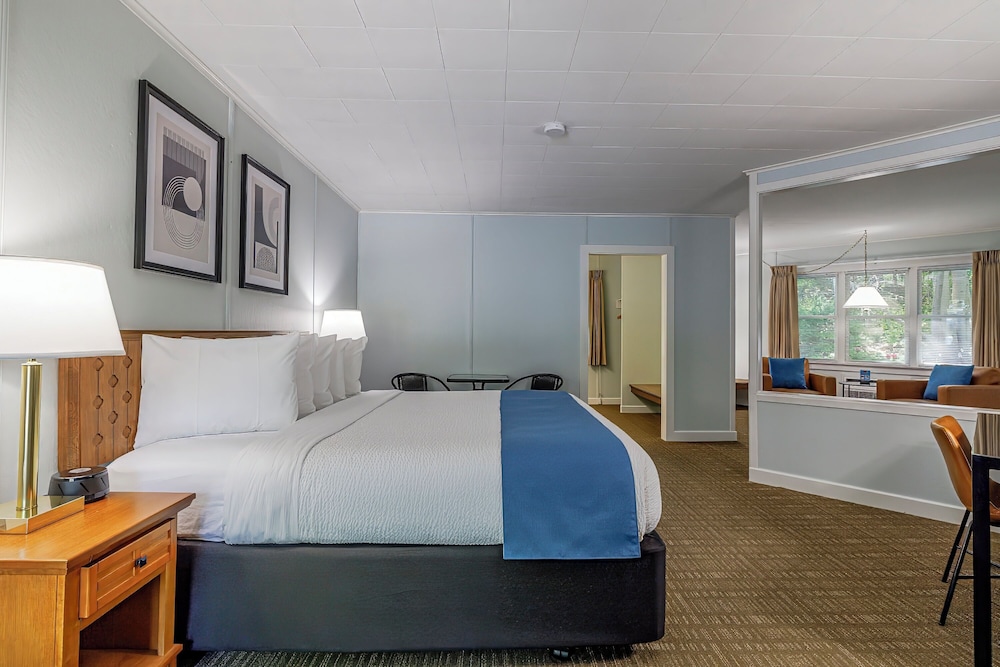 Mini-Suite with One King Bed- Non-Smoking (Maximum 2 People) photo 1