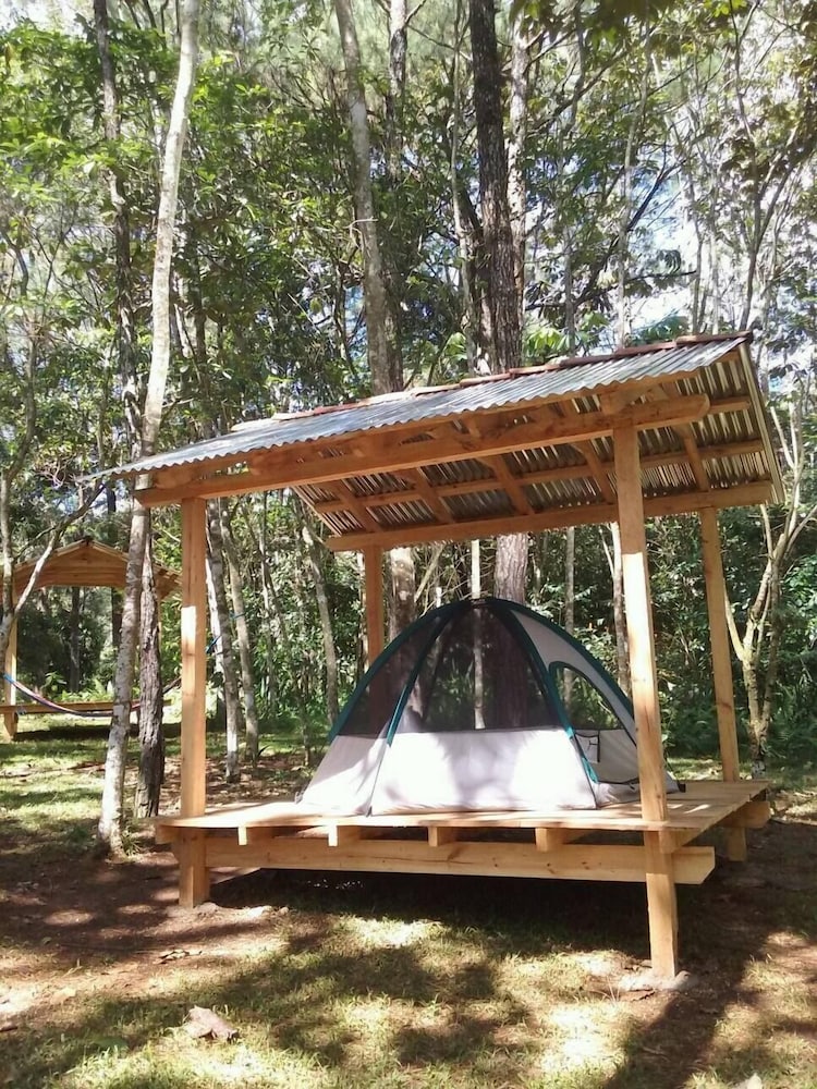 Exclusive Tent photo 3