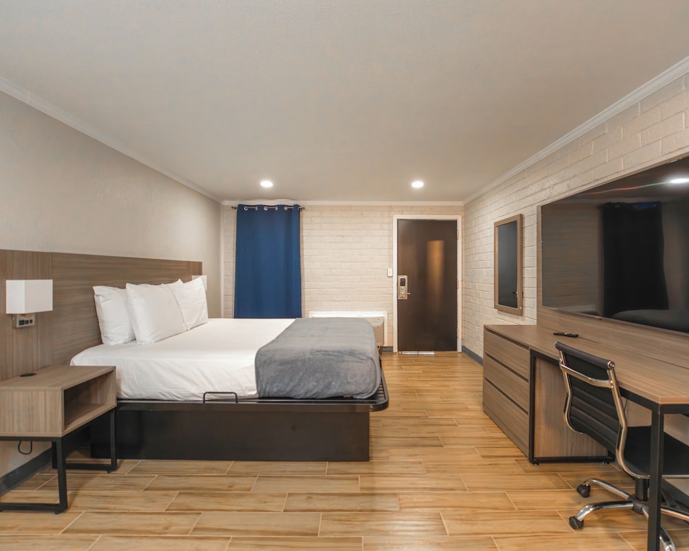 Single Room, 1 King Bed photo 1