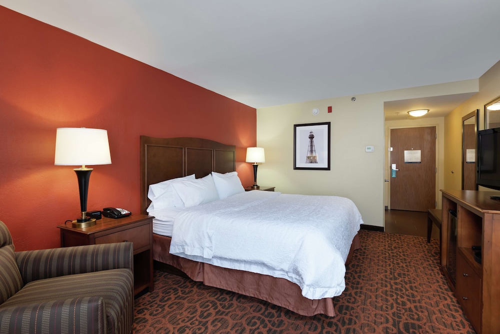 Room, 1 King Bed photo 3