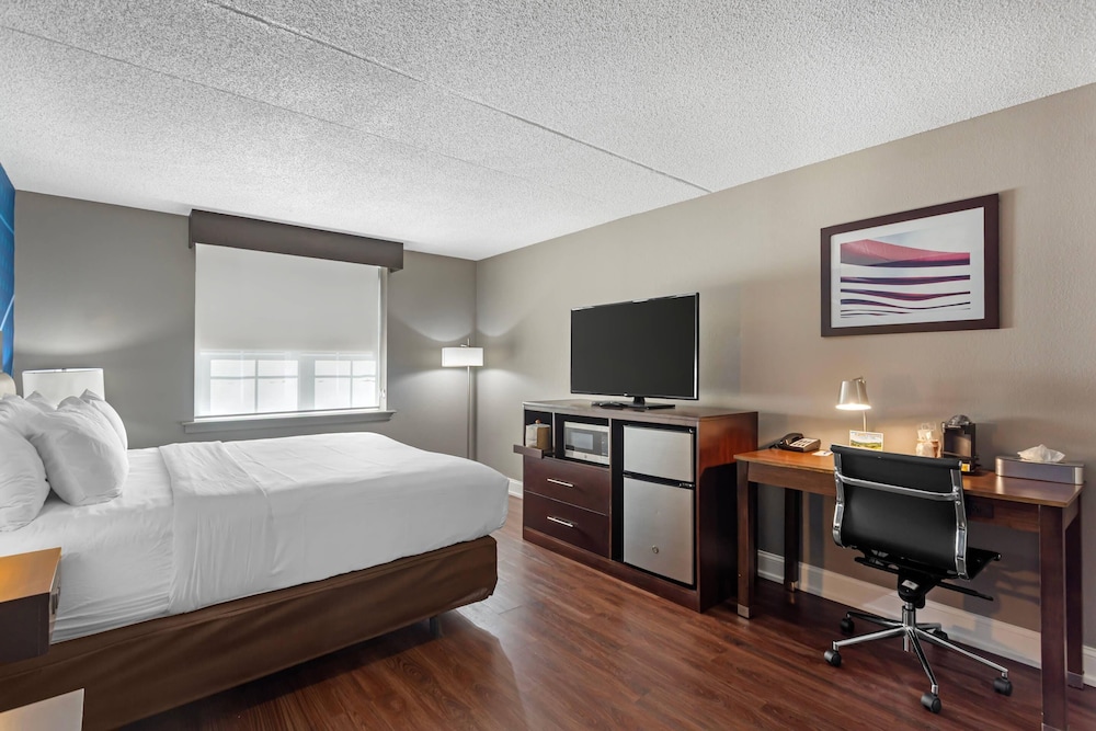 Room, 1 King Bed, Accessible, Non Smoking - Photo 6