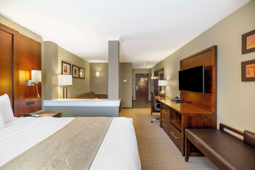 Suite, 1 King Bed with Sofa bed, Non Smoking
