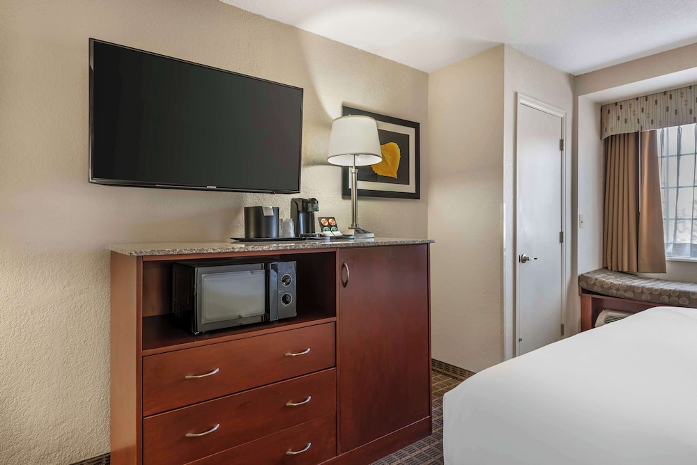 Suite, 1 King Bed - Photo 4