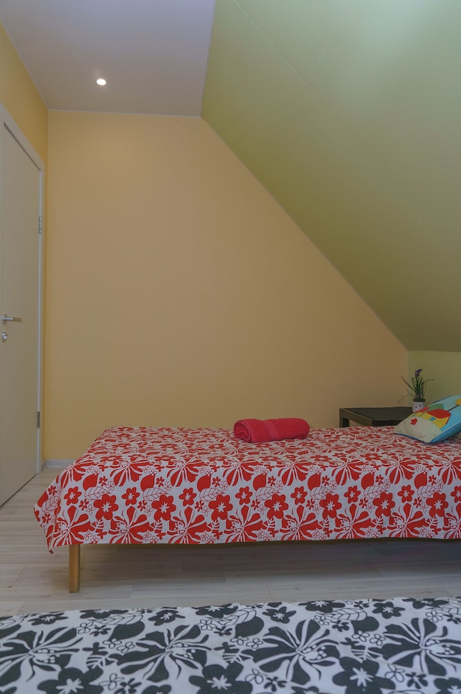 Single Room photo 3