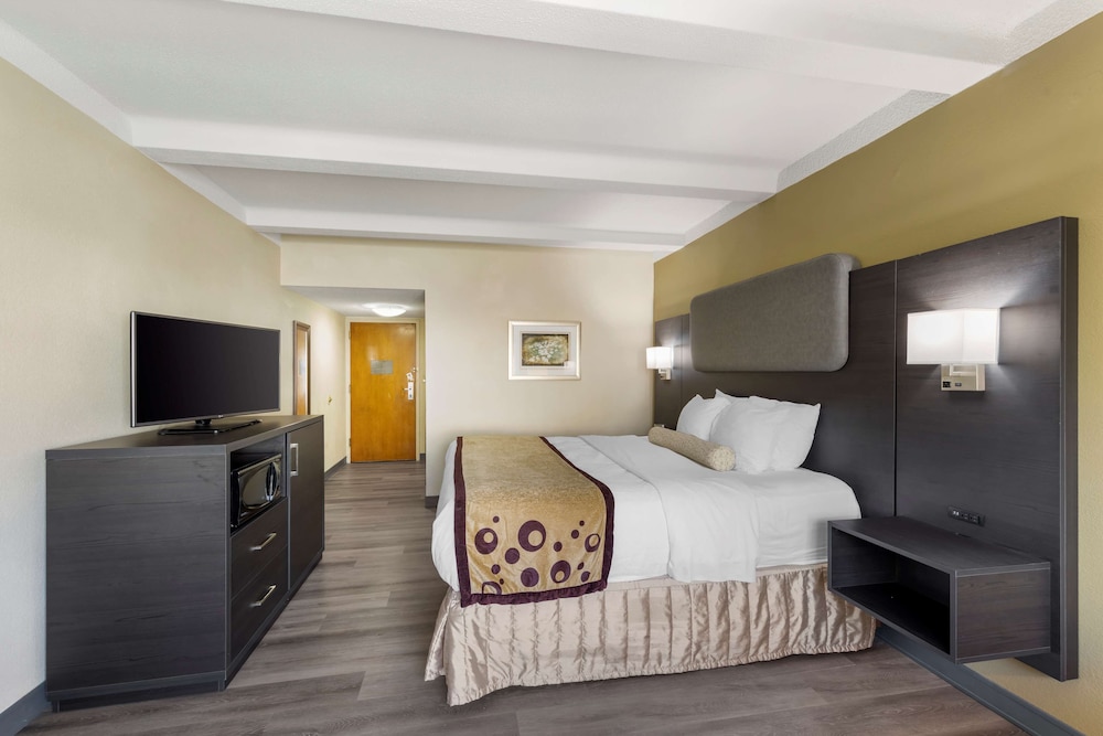 Standard Room, 1 King Bed, Accessible, Refrigerator & Microwave photo 3