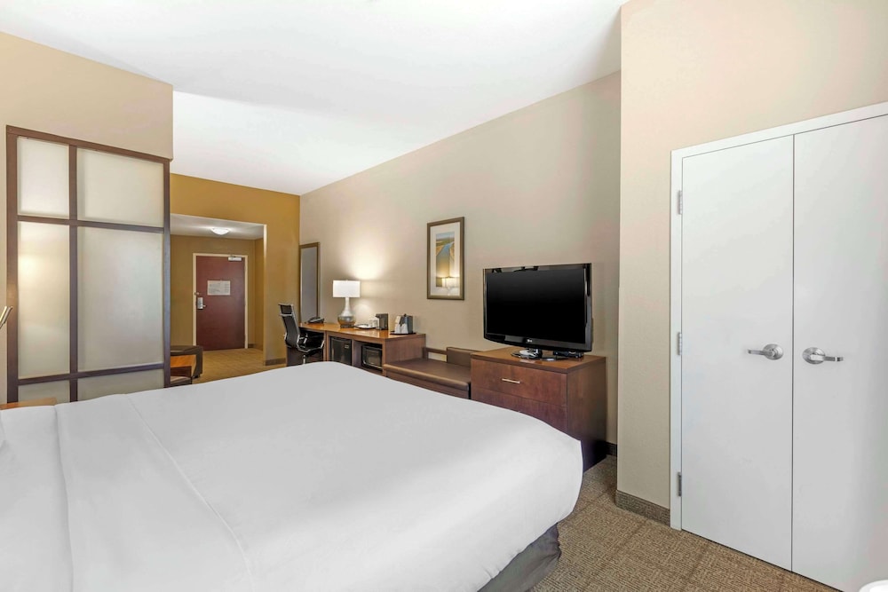 Suite, 1 King Bed, Accessible, Non Smoking (Roll-In Shower) - Photo 5