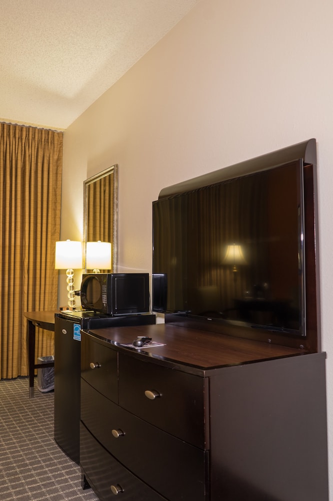Executive Room, 1 King Bed, Non Smoking - Photo 7