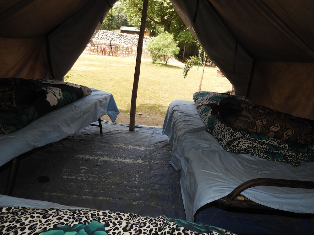 Tent photo 3
