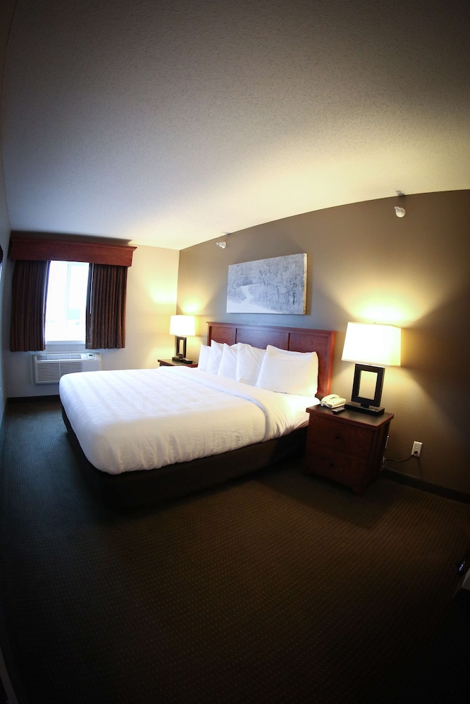 Suite, 1 Bedroom photo 1