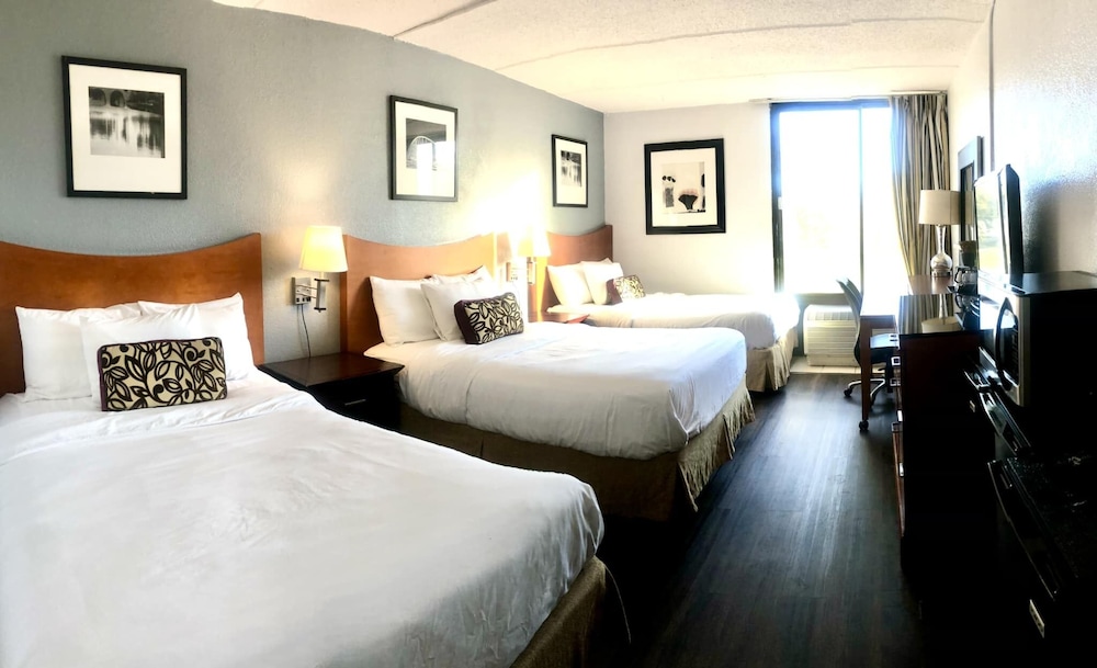 Deluxe Triple Room, Multiple Beds photo 2