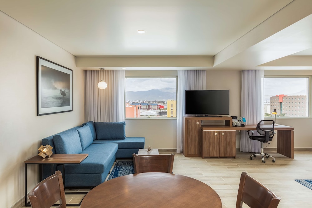 Suite, 1 King Bed, Refrigerator photo 2