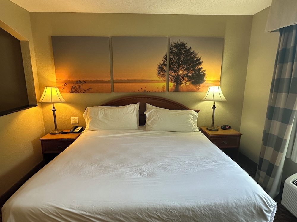Room, 1 King Bed, Accessible - Photo 1
