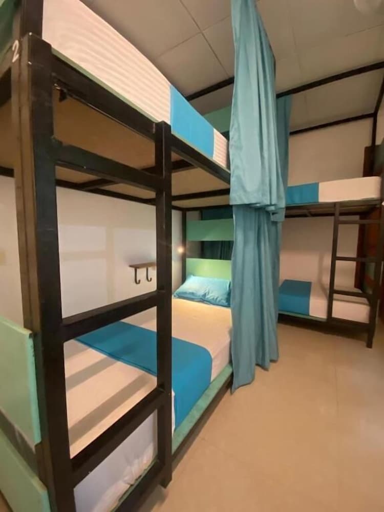 4-Bed Shared Dormitory, Mixed Dorm photo 2