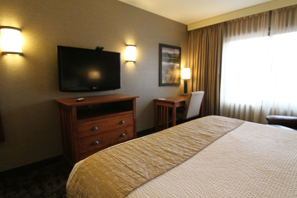 Basic Room, 1 King Bed photo 1