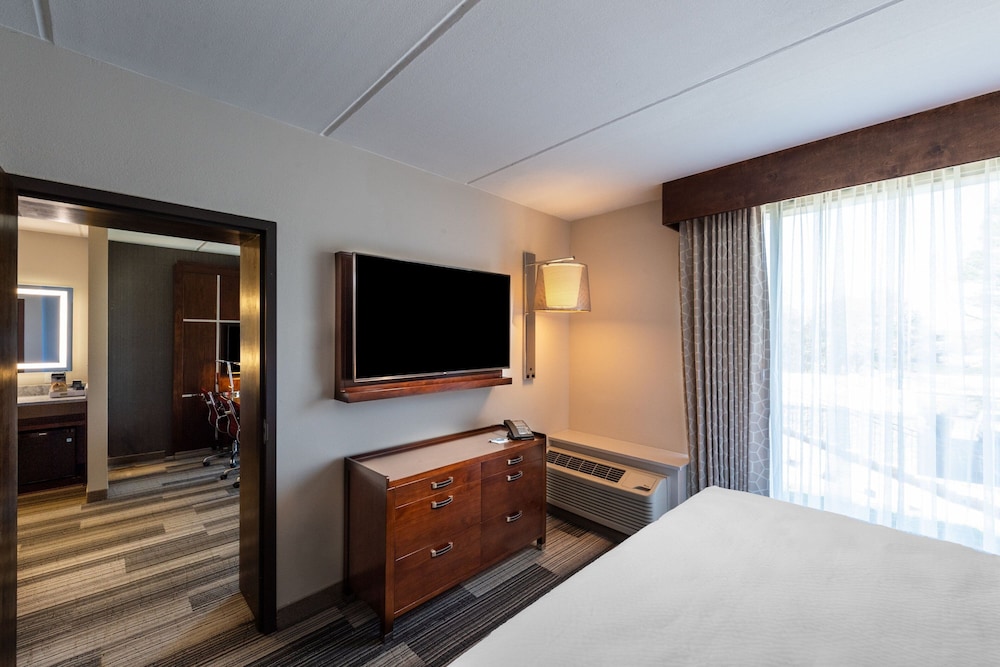 Suite, 1 King Bed - Photo 1