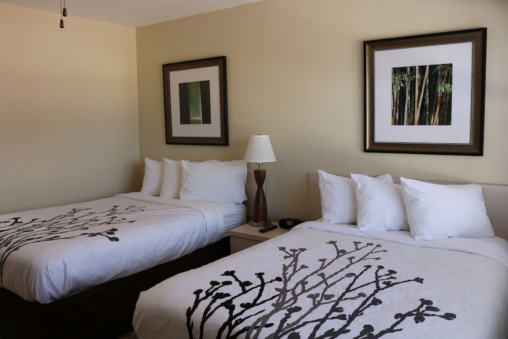 Room, 2 Double Beds, Refrigerator & Microwave, Courtyard View (1st Floor)