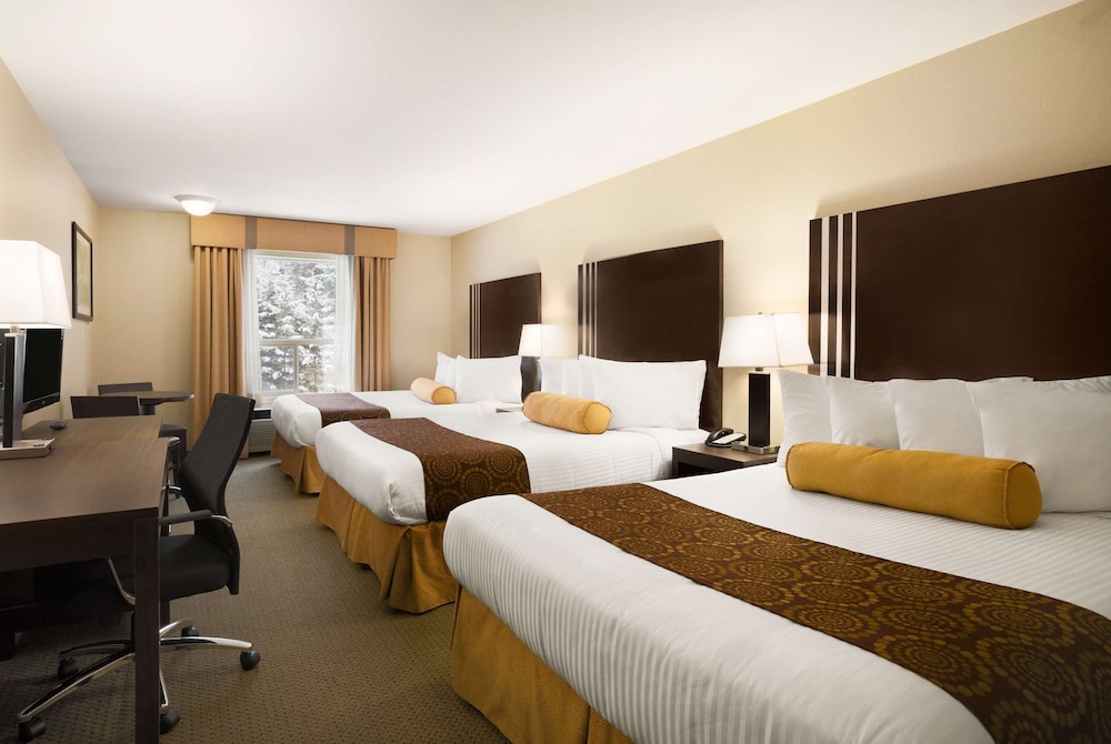 Room, Multiple Beds, Non Smoking photo 1