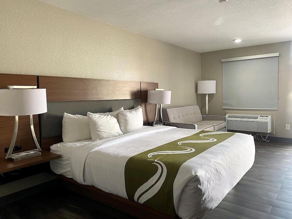 Suite, 1 King Bed, Non Smoking, Refrigerator & Microwave (with Sofabed) - Photo 4