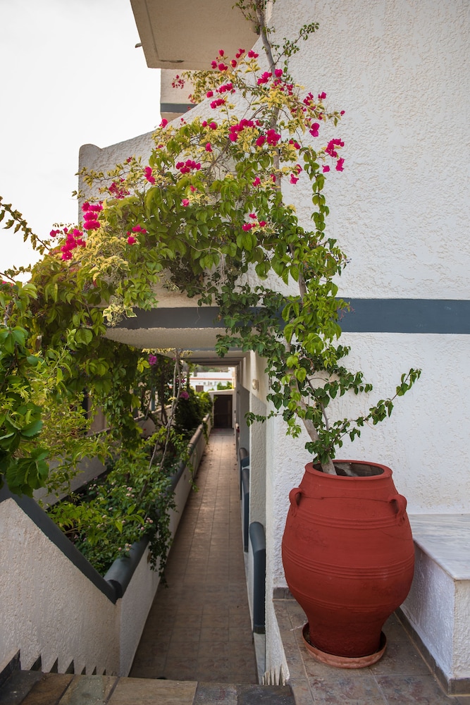 Standard Double Room, Garden View