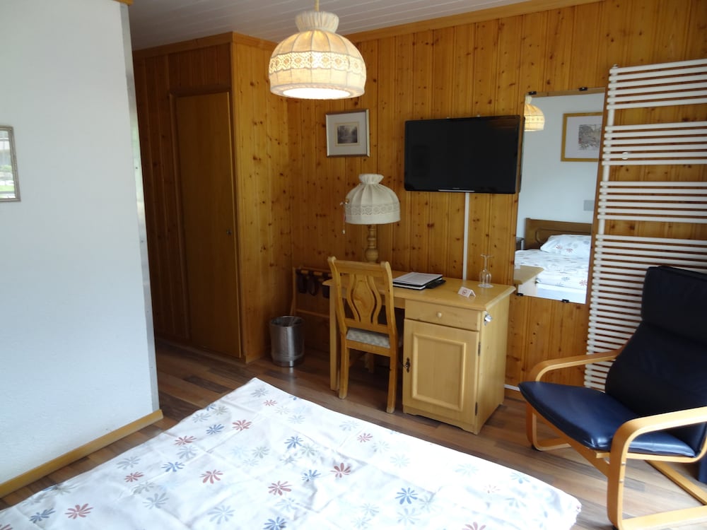 Single Room, Balcony, Mountain View photo 2