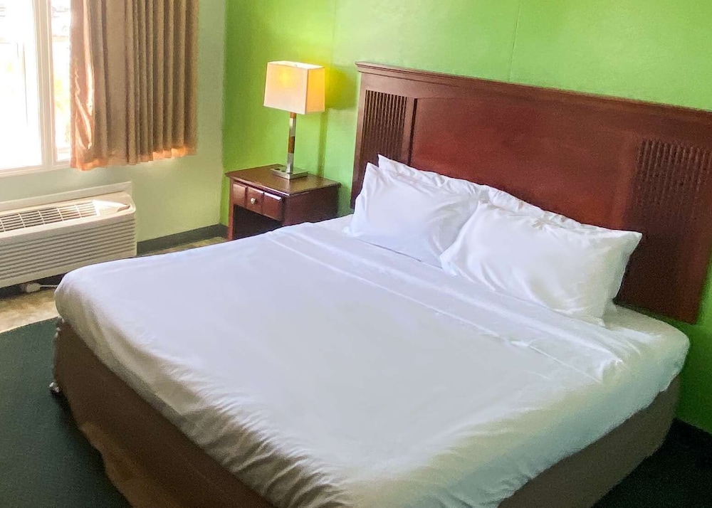 Room, 1 King Bed, Non Smoking photo 1