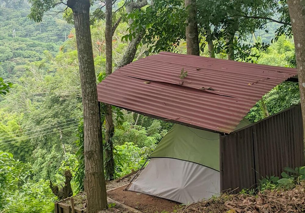Basic Tent, Non Smoking, Mountain View photo 1