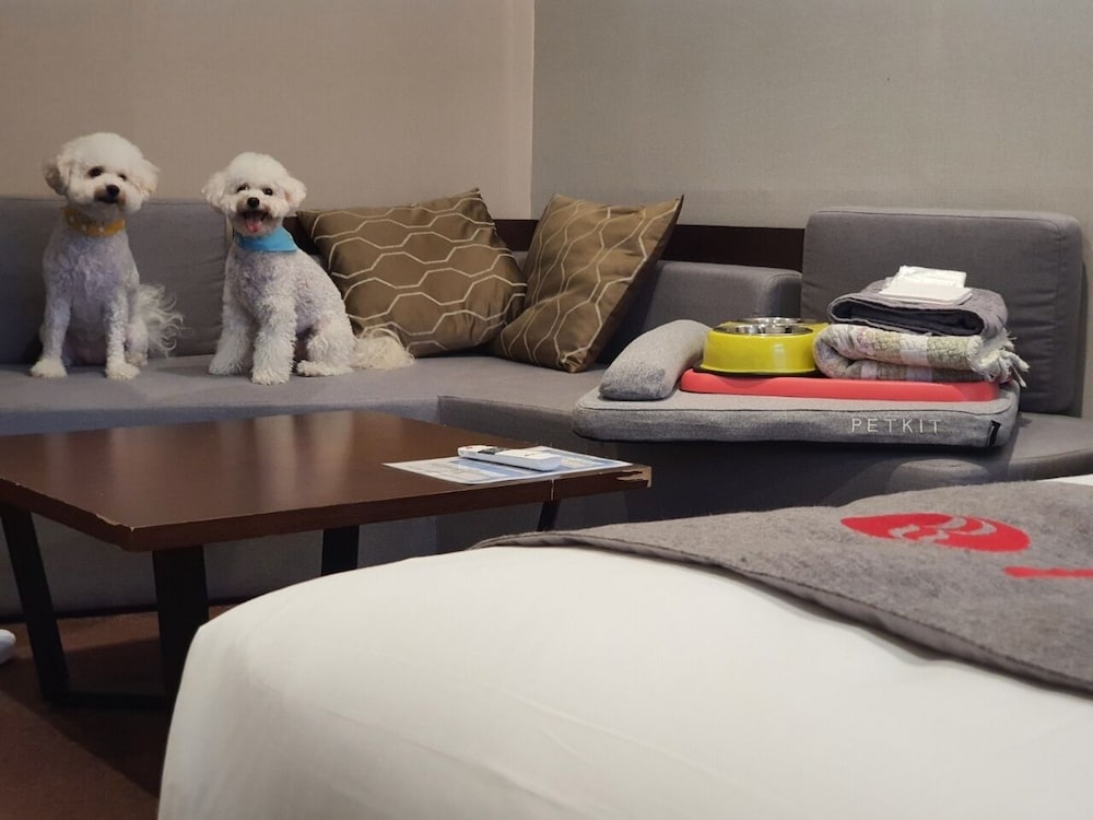 Deluxe Family Twin room, Pet Friendly