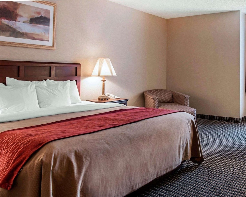 Standard Room, 1 King Bed, Non Smoking - Photo 4