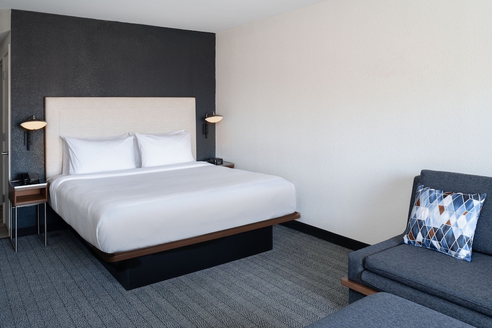 Room, 1 King Bed with Sofa bed (Mobility/Hearing Access, Roll-In Shwr) - Photo 1