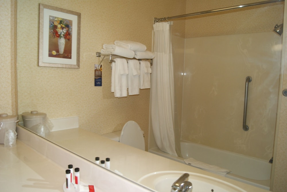 Studio Suite, 1 King Bed, Accessible, Non Smoking (Mobility) - Photo 6