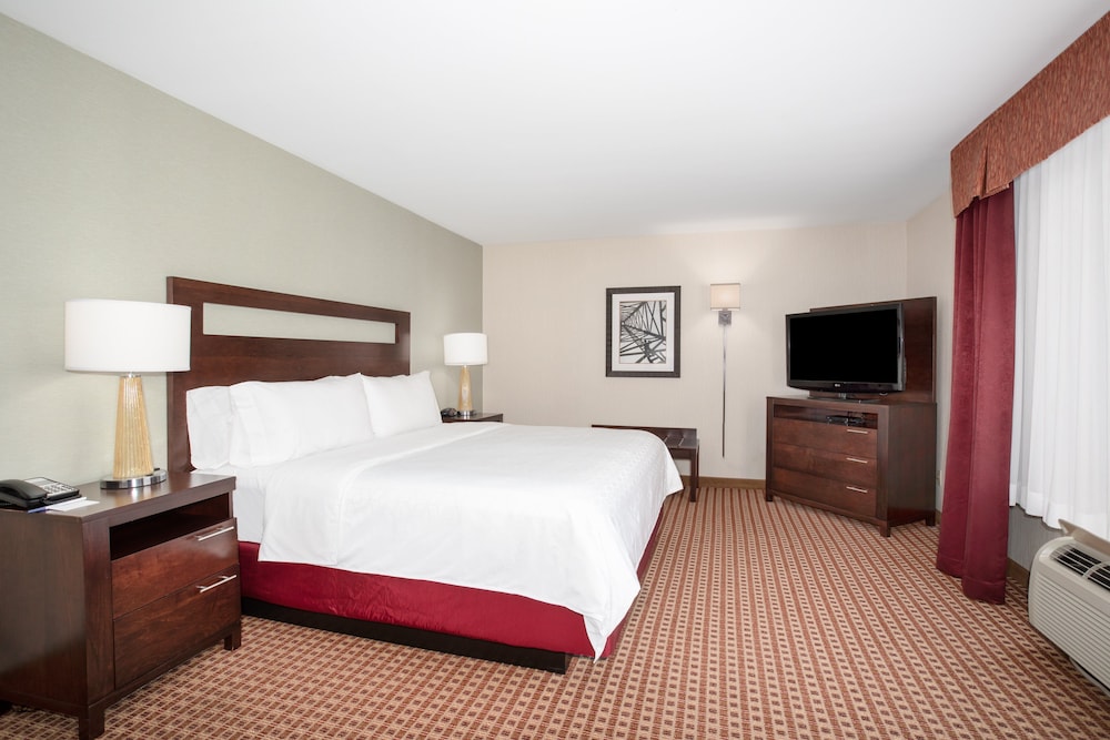 Suite, 1 Bedroom - Photo 4
