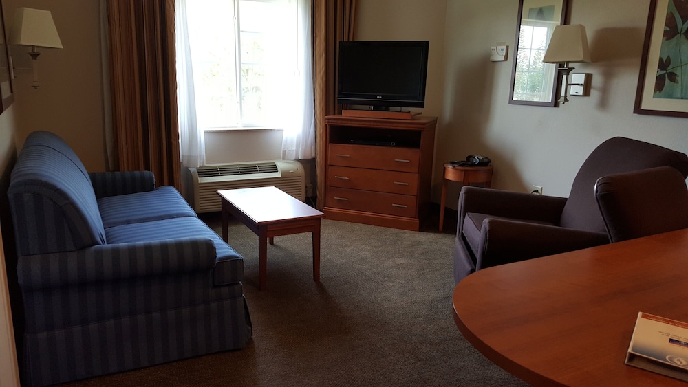 Suite, 1 Bedroom, Accessible - Photo 6
