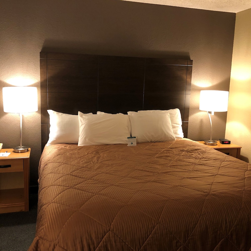 Room, 1 King Bed, Non Smoking photo 3