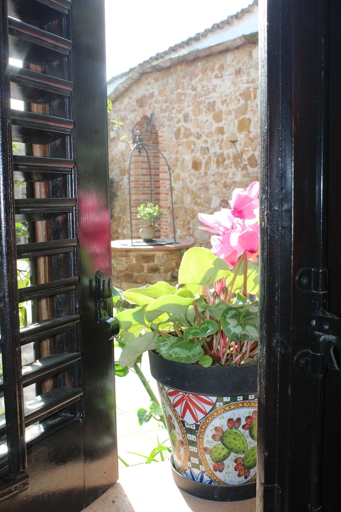 Traditional Double Room photo 2