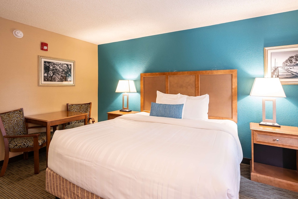 Standard Room, 1 King Bed, Accessible, Refrigerator & Microwave - Photo 4