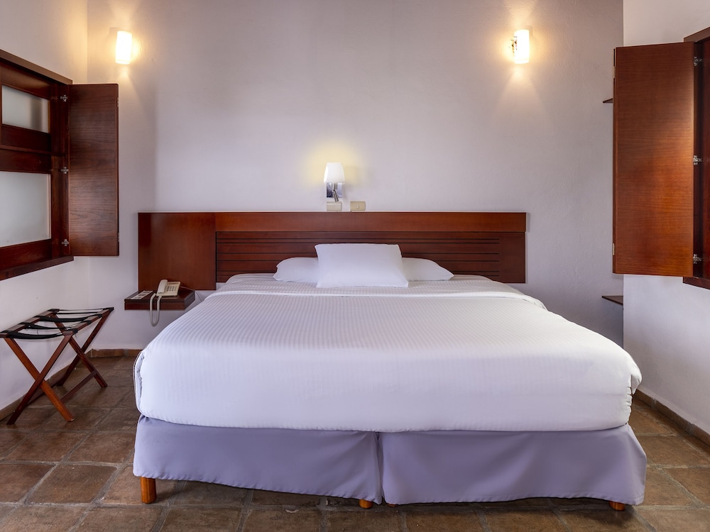 Room, 1 King Bed