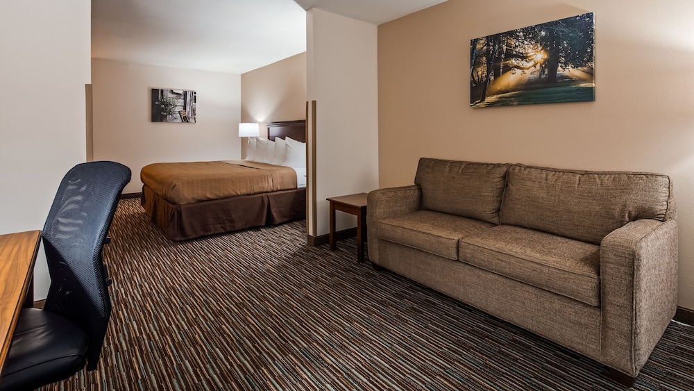 Suite, 1 King Bed, Non Smoking, Microwave (with Sofabed)