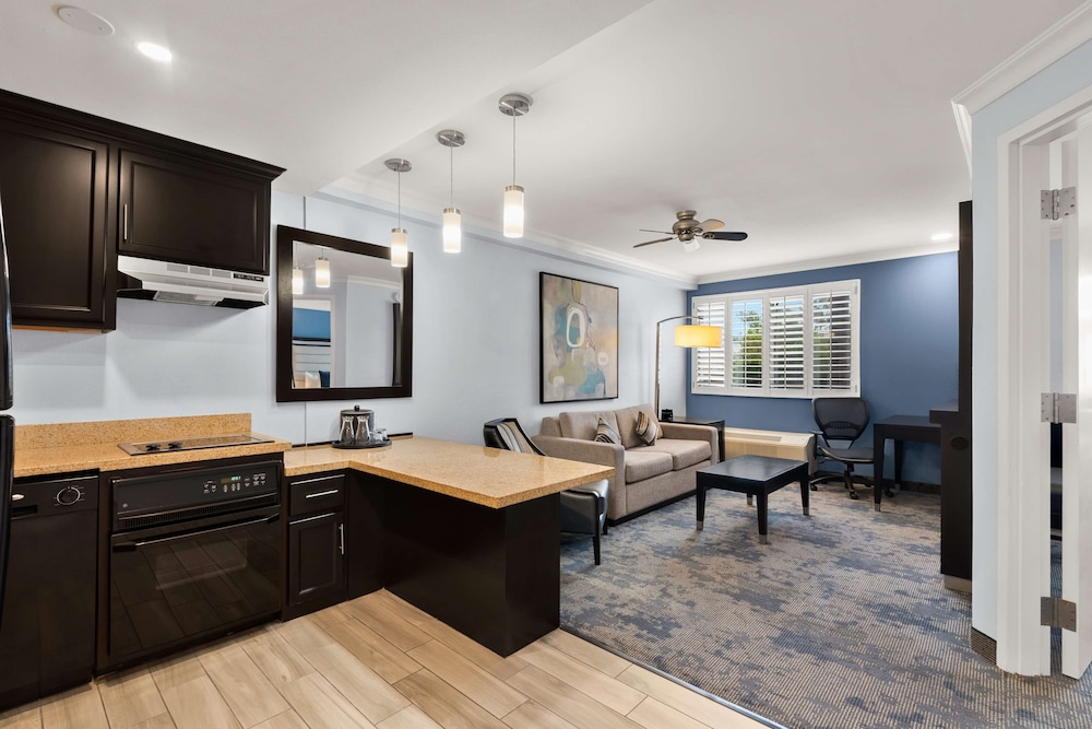 Suite, 1 King Bed, Accessible, Kitchen (With Sofabed) - Photo 1