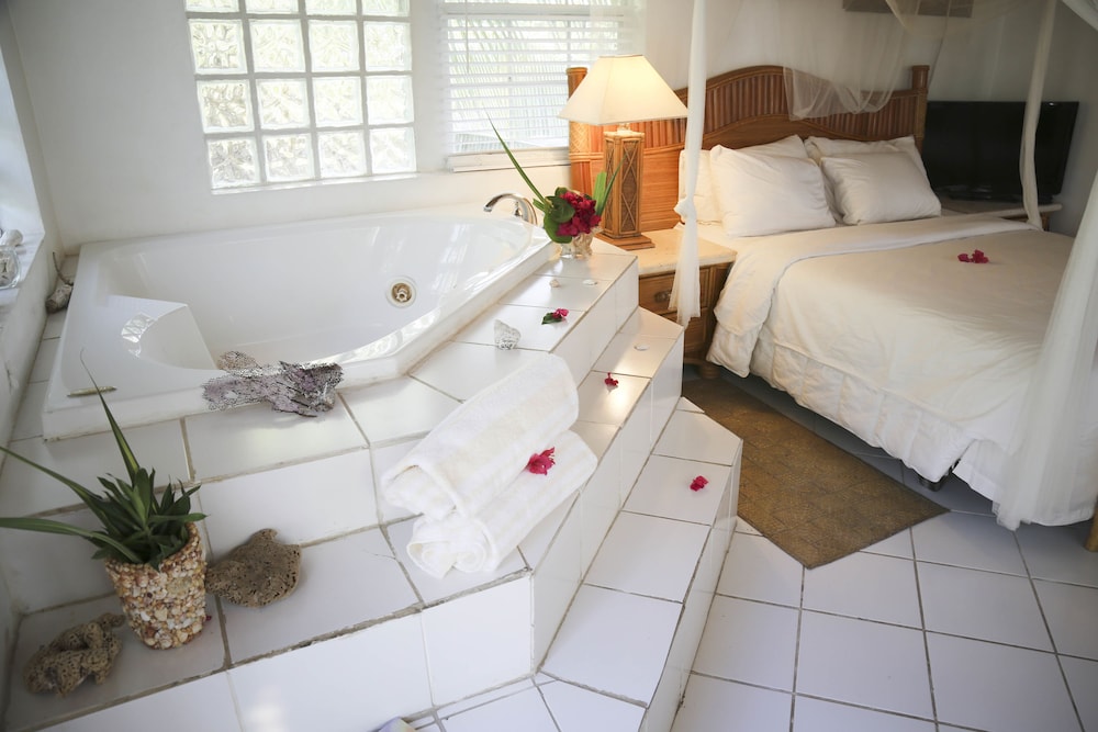 Supior Deluxe Suite 1 Bedroom (Acklins)