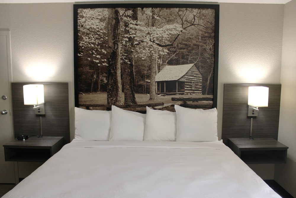 Single Room, 1 King Bed, Accessible, Non Smoking (Guestroom) - Photo 1