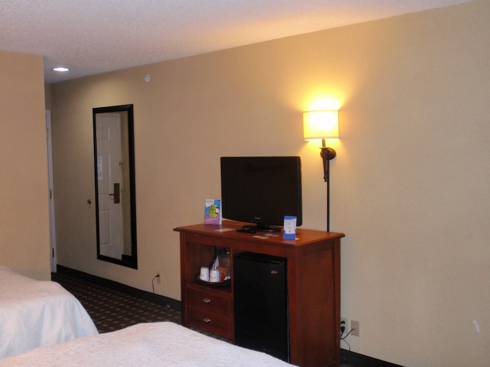 Room, 1 King Bed, Accessible, Non Smoking (Mobility,Hearing,Tub w/Grab Bars) - Photo 7