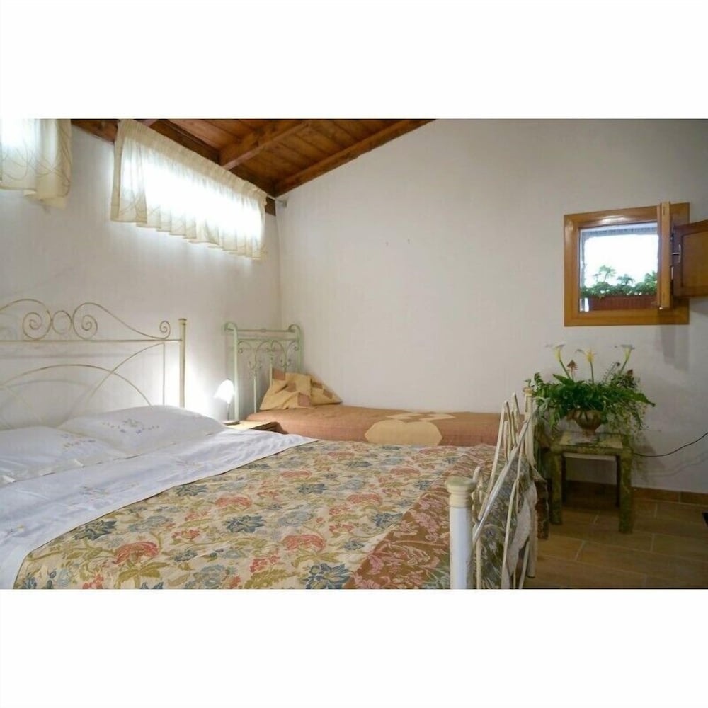 Triple Room, Terrace photo 2
