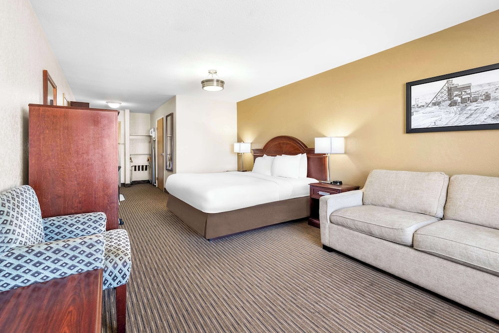 Standard Room, 1 King Bed, Non Smoking, Refrigerator & Microwave (with Sofabed) - Photo 1