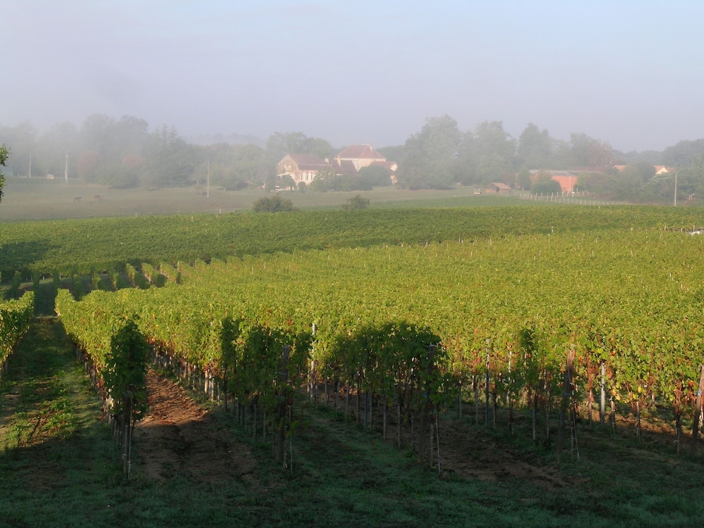 Comfort Double Room, Balcony, Vineyard View photo 3