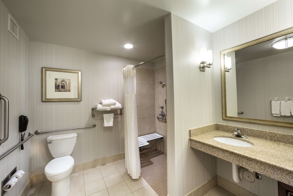 Room, 1 King Bed (Accessible Shower) - Photo 4