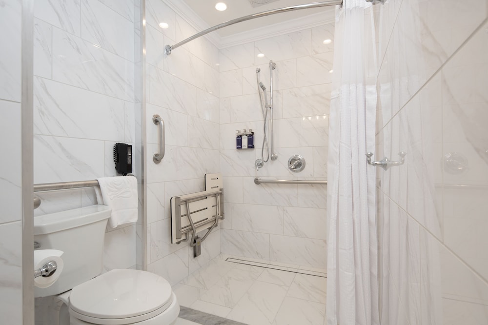 Deluxe Single Room, 1 King Bed, Accessible - Photo 6