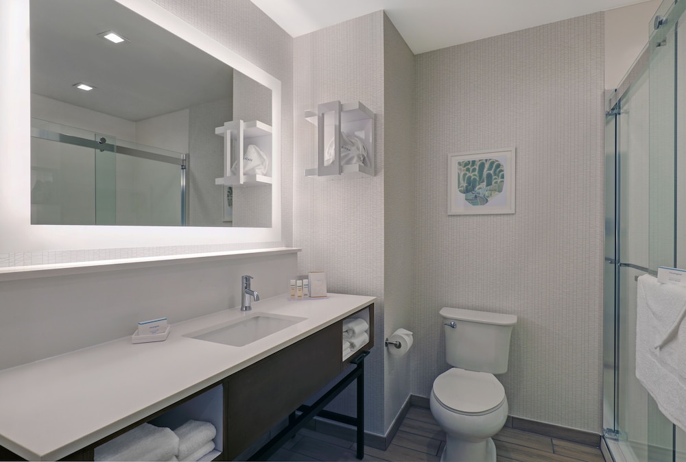 Room, 1 King Bed, Accessible (Roll-In Shower, Mobility & Hearing) - Photo 3