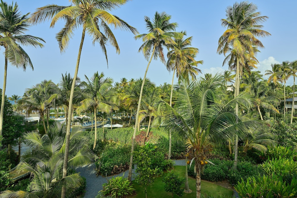 Deluxe Room, 1 King Bed, Non Smoking, Garden View - Photo 6