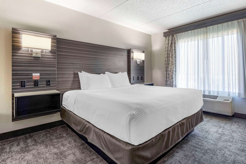 Suite, 1 King Bed, Non Smoking - Photo 8