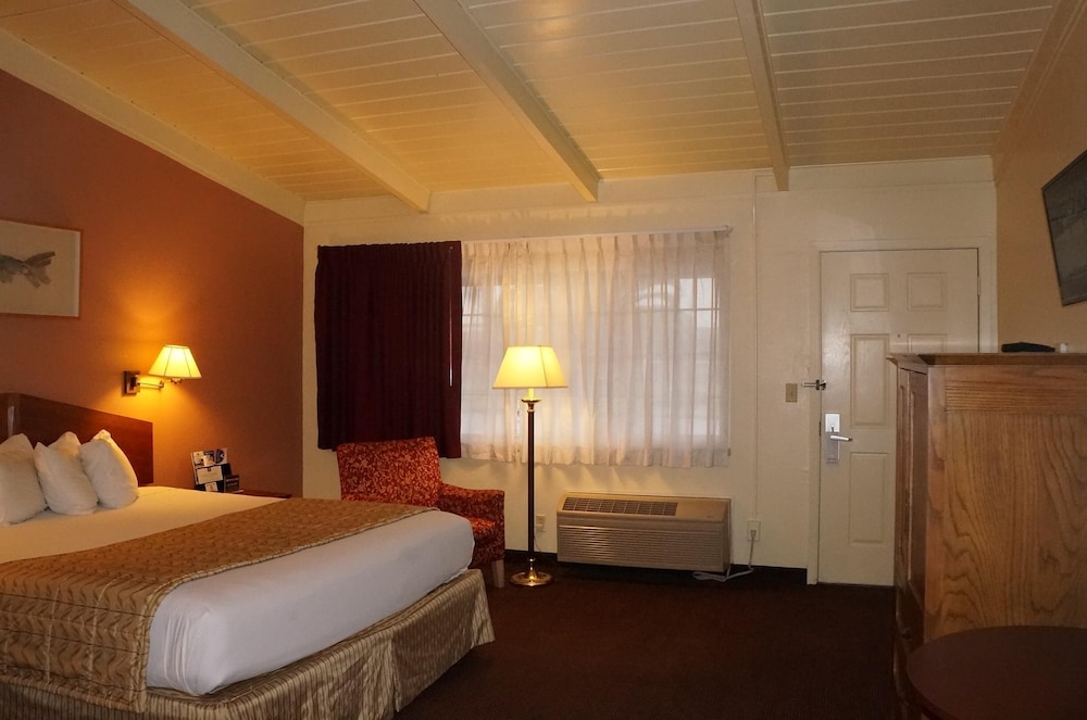 Room, 1 King Bed, Non Smoking photo 1